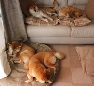 战术大师对决谁能执教致胜，战术大师官网